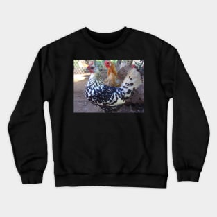 Hamburg Hens Crewneck Sweatshirt